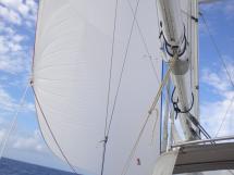 AYC Yachtbroker - Cigale 16 - Genoa