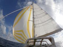 Alliage 45 - Under sails