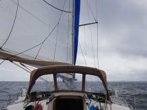 Feeling 546 Prestige - Under sails