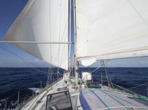 OVNI 56 - Under sails
