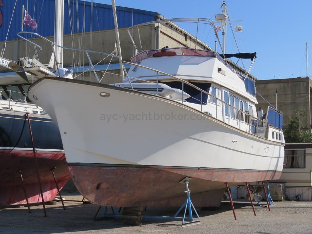 AYC - Hampton 50 Trawler